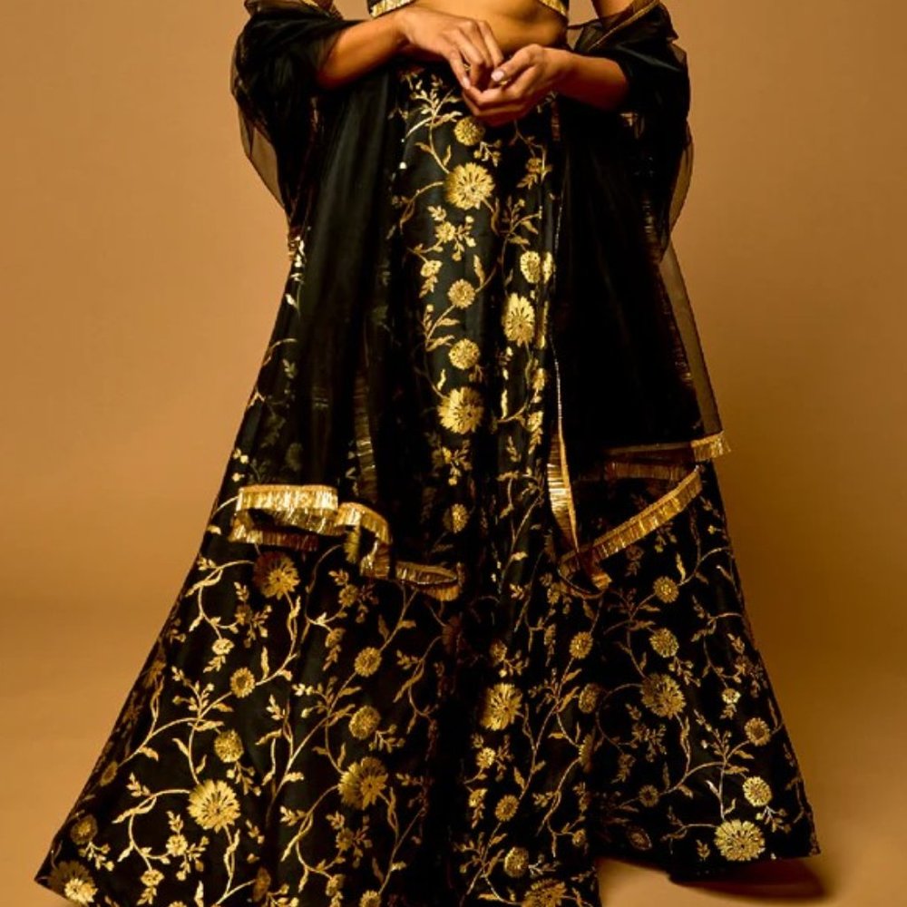 Mani Jassal BLACK TULLE JHALLAR DUPATTA